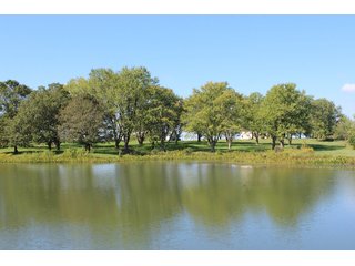 Property photo 17 - Tillable, Pasture, Recreational, Hunting and Fishing Property  